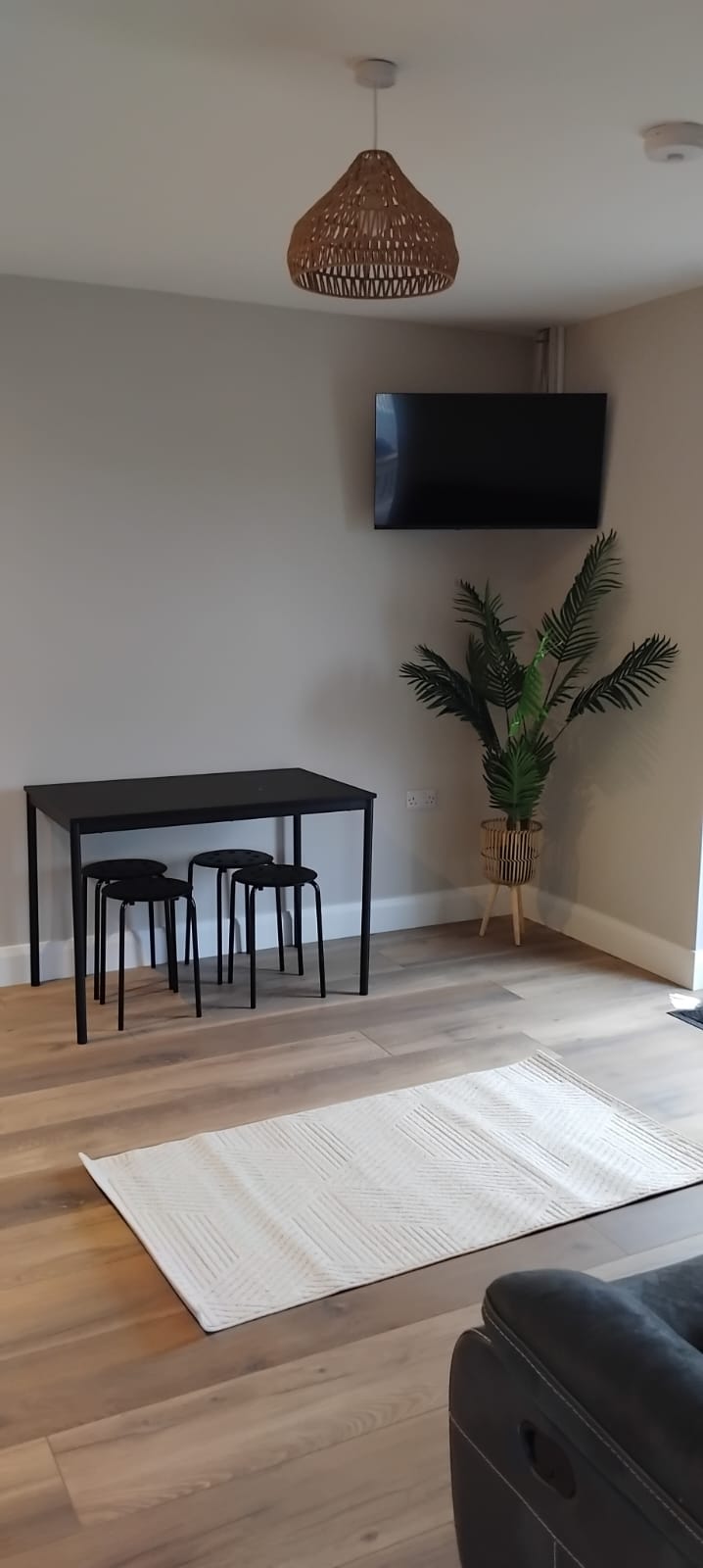 TV and dining area